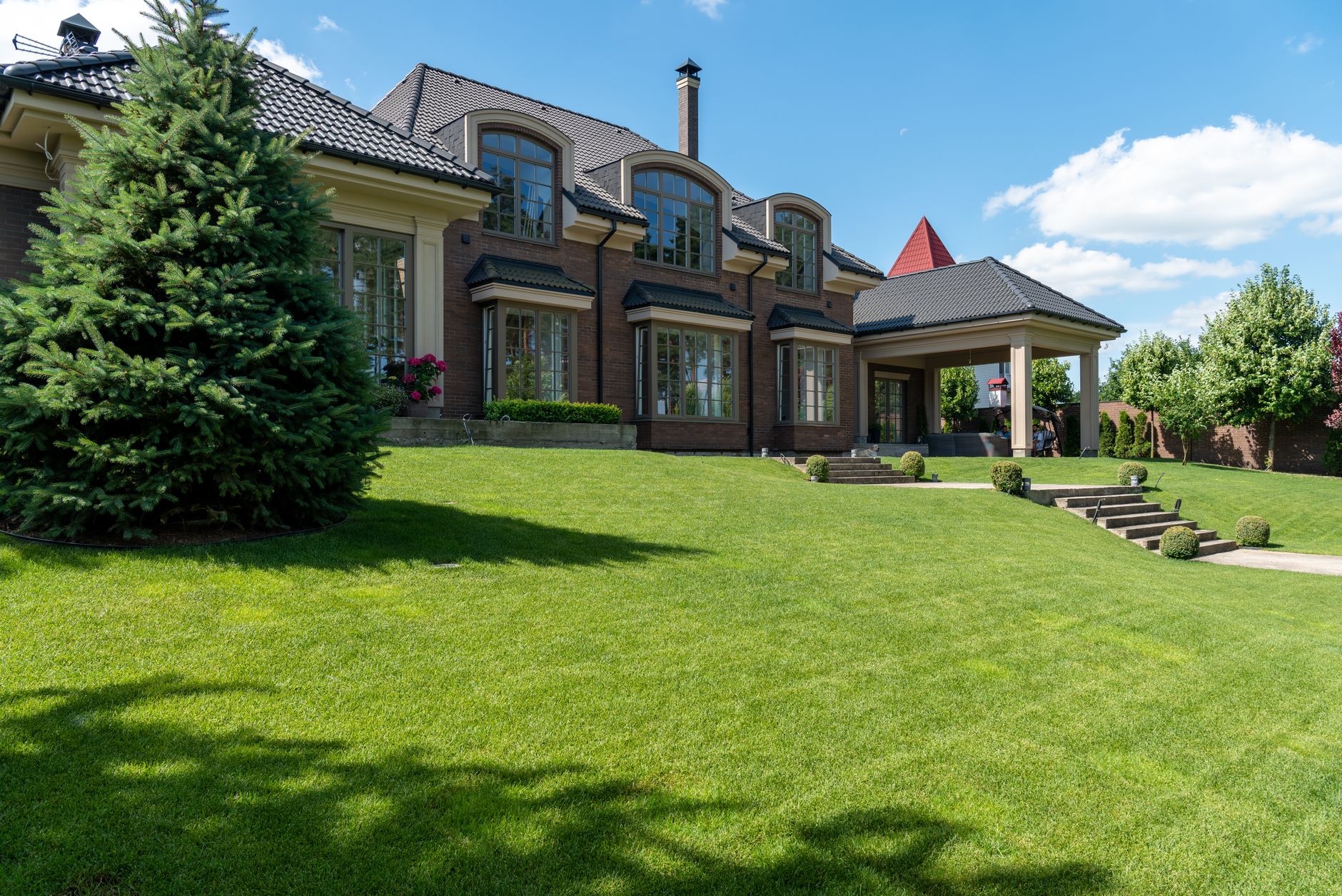 Freshly mowed lawn